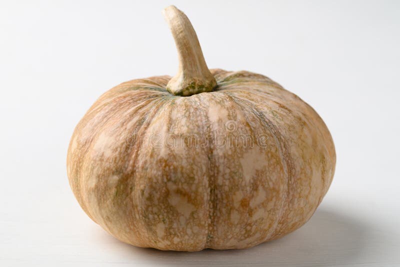 Organiczna dynia azjatycka na białym tle zdjęcie stock