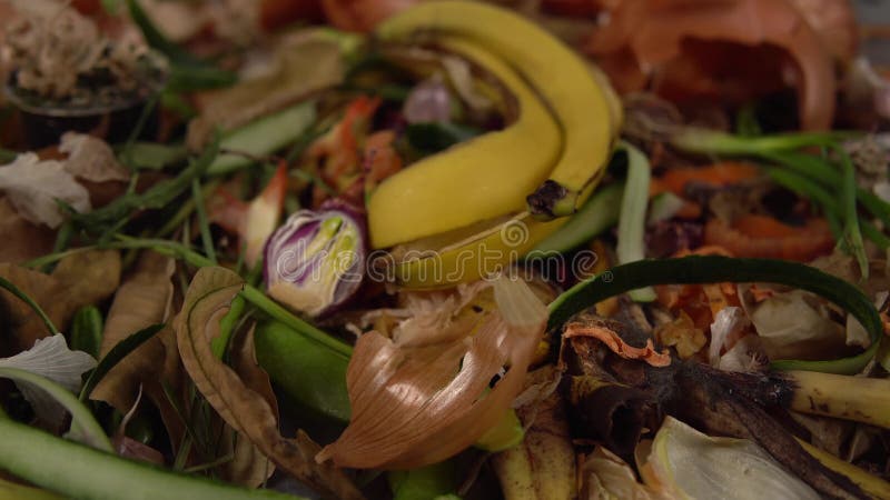 Organicznie kuchnia odpady dla komposta z pozostawionym zróżnicowanym jedzeniem