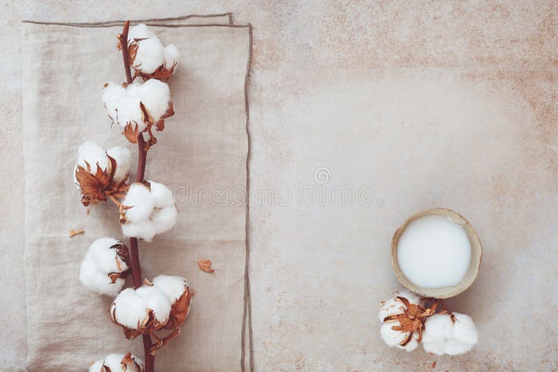 Organicznie skincare zdroju wciąż życie obrazy royalty free Organicznie skincare zdroju wciąż życie obrazy royalty free