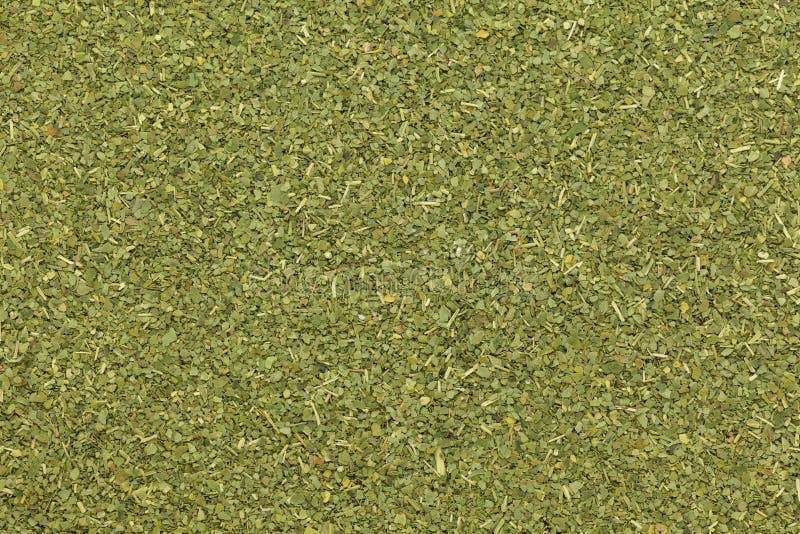 Organicznie suchy Moringa opuszcza w herbaty cięcia rozmiarze (Moringa oleifera) obrazy royalty free