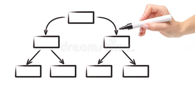 Organigrama Vacío Del Esquema Del Diagrama Del Dibujo Del Marcador ...