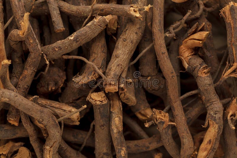 Organische droge chitrakphool & x28; Grafiet zeylanica& x29; wortels stock afbeeldingen Organische droge chitrakphool & x28; Grafiet zeylanica& x29; wortels stock afbeeldingen