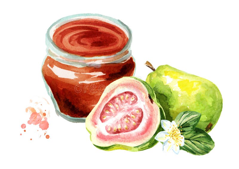 Organische Fruchtmarmelade Glasgefäß Guavenmarmelade und frische Frucht lokalisiert auf weißem Hintergrund Gezeichnete Illustrati lizenzfreie abbildung Organische Fruchtmarmelade Glasgefäß Guavenmarmelade und frische Frucht lokalisiert auf weißem Hintergrund Gezeichnete Illustrati lizenzfreie abbildung