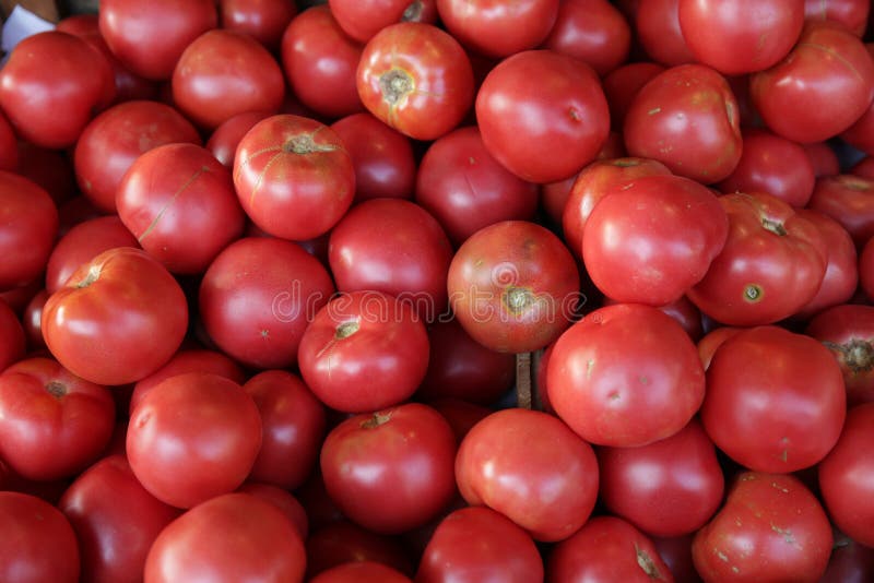 Organische verse rode tomaten op de markt Ge?soleerde ingredi?nt Gezond voedsel royalty-vrije stock foto's Organische verse rode tomaten op de markt Ge?soleerde ingredi?nt Gezond voedsel royalty-vrije stock foto's