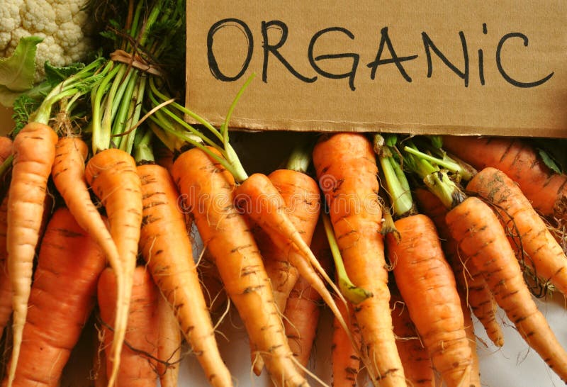 Organische, echte groenten: wortelen