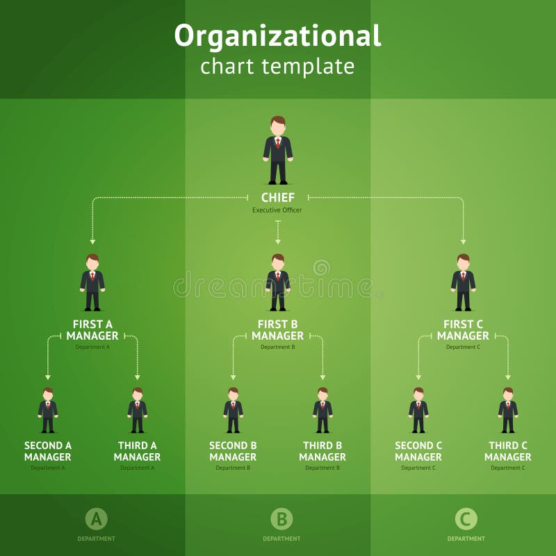 organizational chart template stock vector illustration business hierarchy template