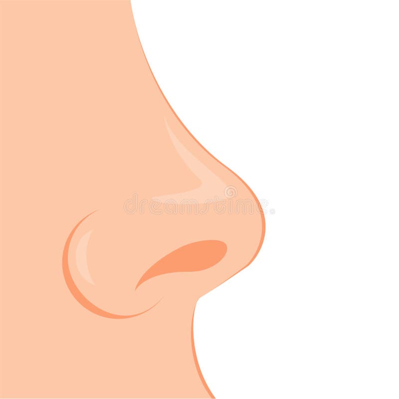Organo dell'odore umano, naso Biologia, anatomia dell'uomo ed organi umani, corpo Naso, parte del corpo illustrazione di stock Organo dell'odore umano, naso Biologia, anatomia dell'uomo ed organi umani, corpo Naso, parte del corpo illustrazione di stock