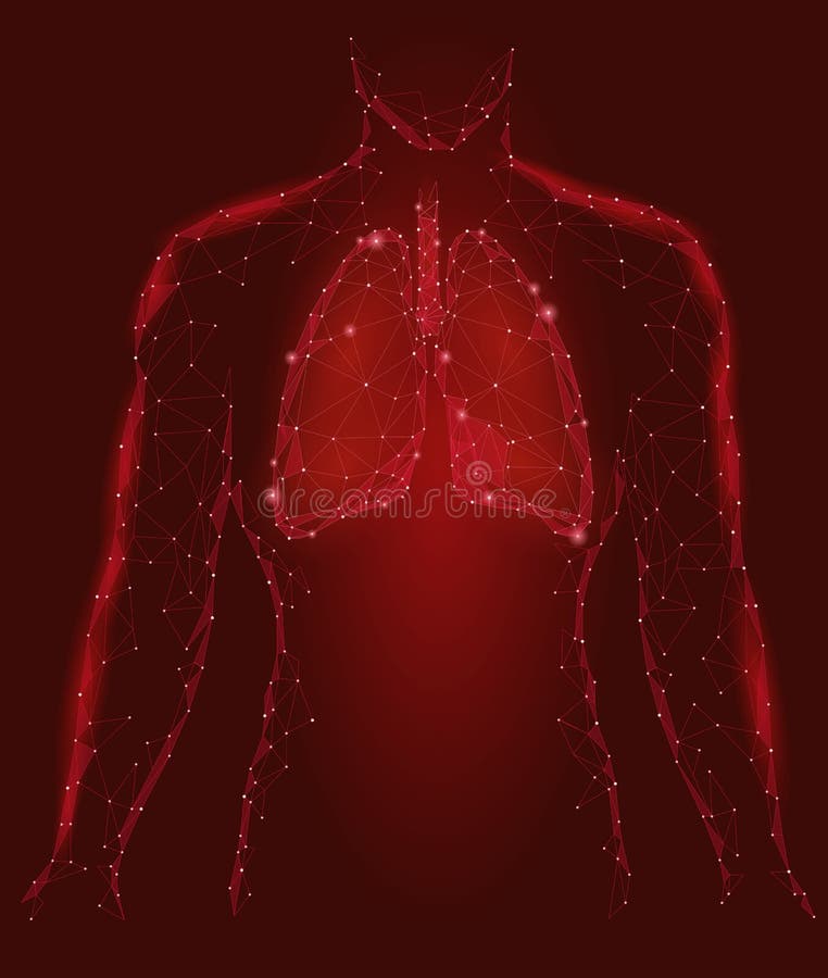 Organo interno dei polmoni umani Apparato respiratorio dentro la siluetta del corpo Poli Dots Triangle Polygonal Design collegato royalty illustrazione gratis Organo interno dei polmoni umani Apparato respiratorio dentro la siluetta del corpo Poli Dots Triangle Polygonal Design collegato royalty illustrazione gratis