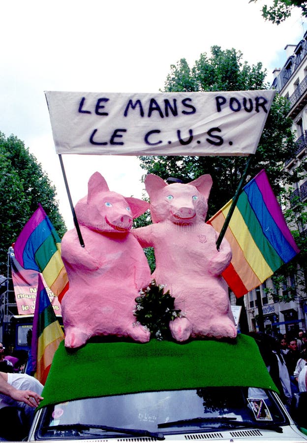 Orgulho alegre - Paris fotos de stock