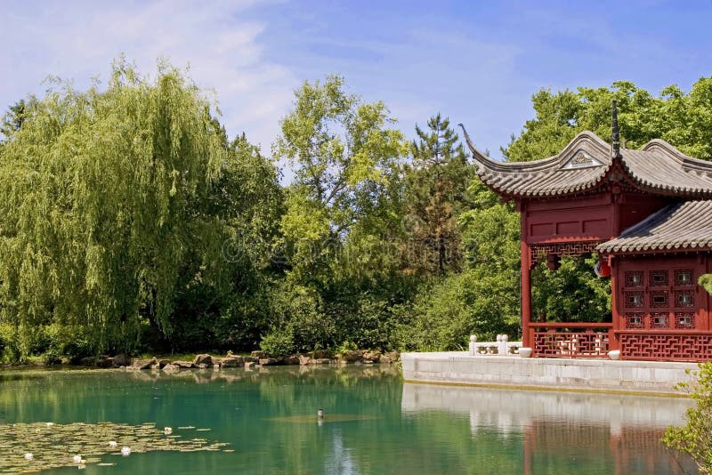 An oriental themed garden with lily pond. An oriental themed garden with lily pond.