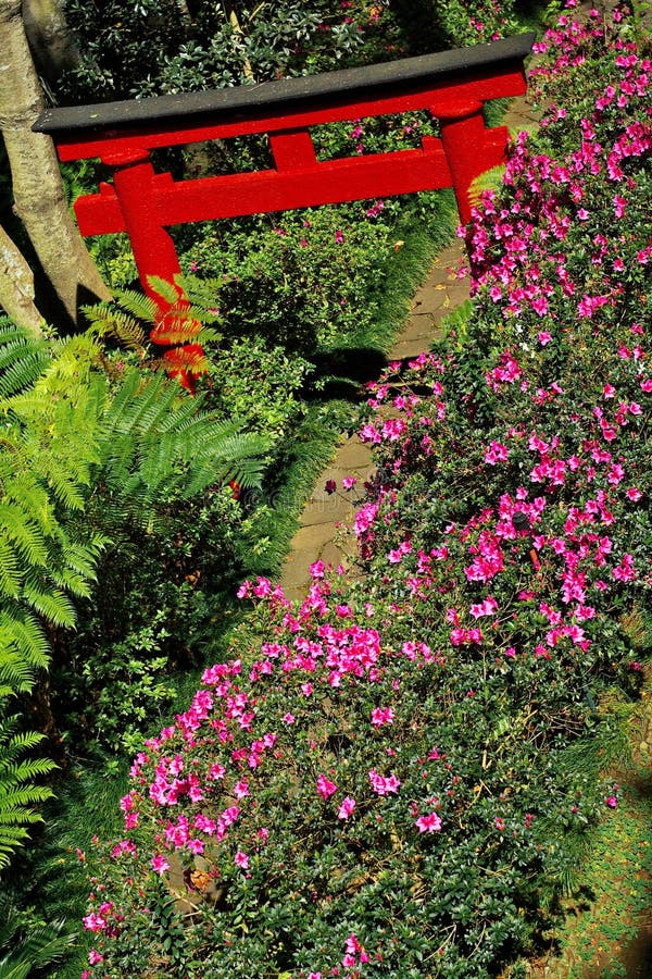 Orientalischer Garten stockfoto. Bild von grün, japan