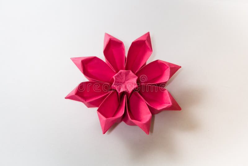 Origami Gerbera Flower