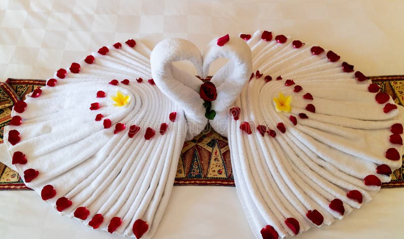 Origami swans made out of towels and laid out on a bed in a honeymoon suite royalty free stock photos Origami swans made out of towels and laid out on a bed in a honeymoon suite royalty free stock photos
