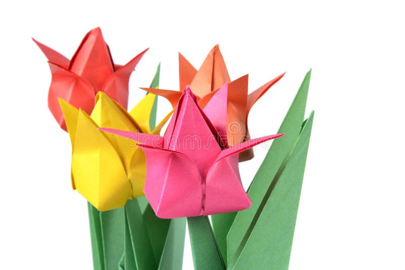 Origami tulip over white stock photo. Image of isolated 11990444