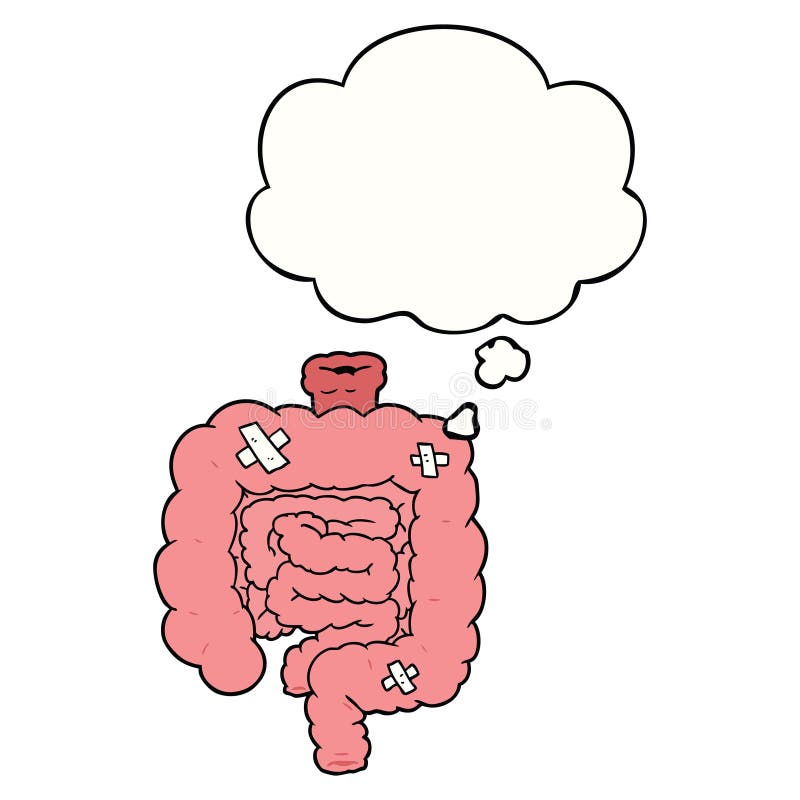 Intestine Cartoon Drawing - Aflam-Neeeak