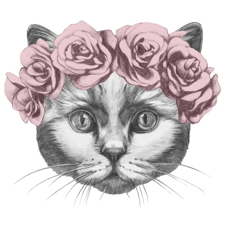 Original Drawing Of Cat With Roses. Stock Illustration Illustration