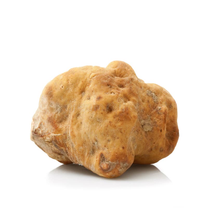 Original Italian White Truffle in White Background Stock Image Image of italian, background