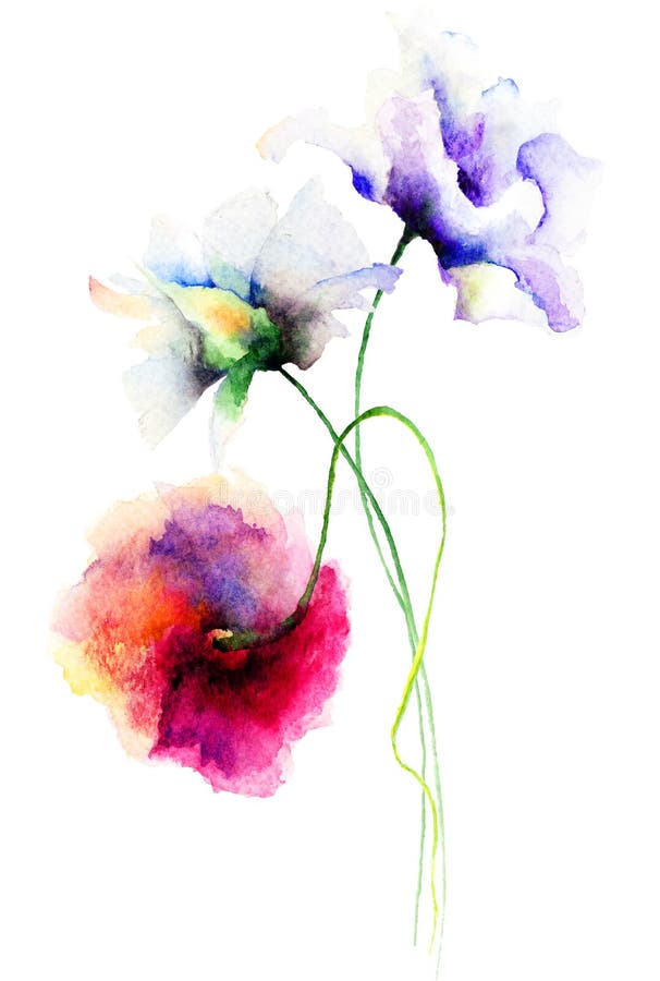 Original Summer flowers, watercolor illustration. Original Summer flowers, watercolor illustration