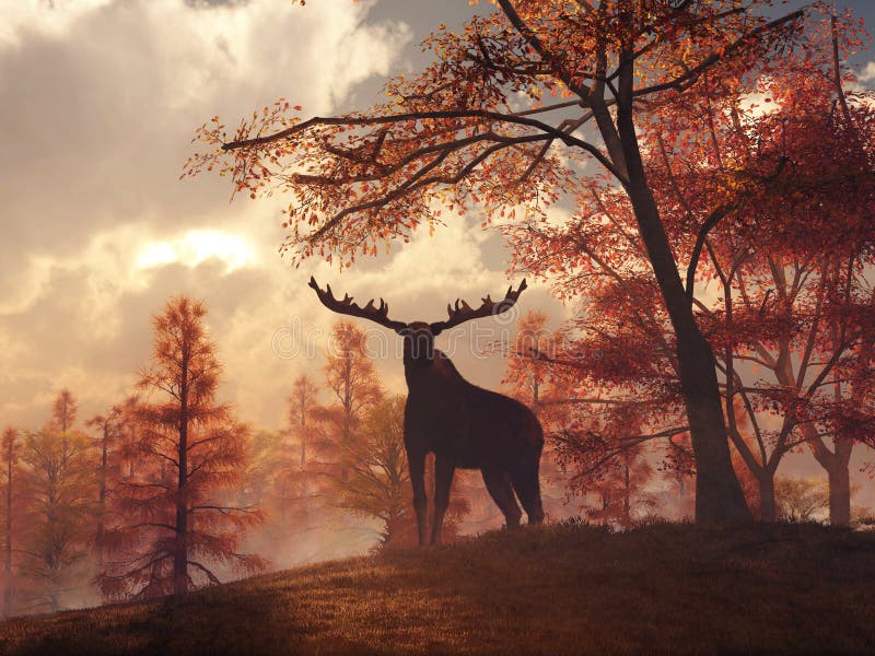 As the sun sets on a late autumn day, a moose stands on a grassy hill. Surrounded by fall foliage, this mighty animal of North American looks right at you, silhouetted against the sunset. 3D Rendering. As the sun sets on a late autumn day, a moose stands on a grassy hill. Surrounded by fall foliage, this mighty animal of North American looks right at you, silhouetted against the sunset. 3D Rendering