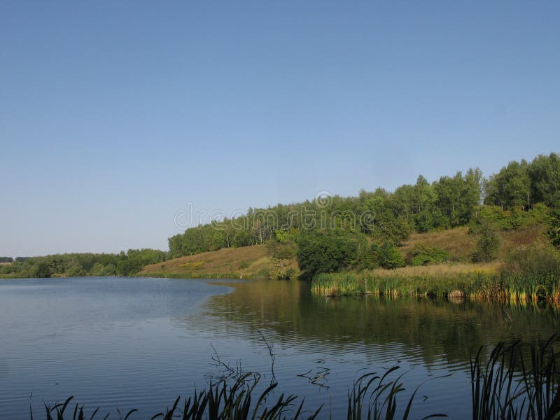 Orilla de agosto de un lago del verano fotografía de archivo Orilla de agosto de un lago del verano fotografía de archivo