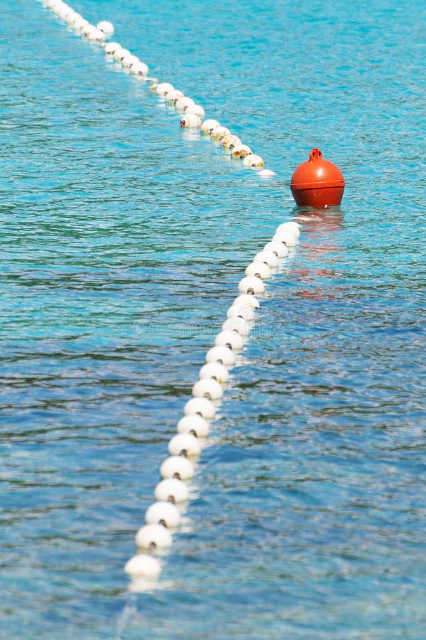Orin de natation de barrière de secteur flottant sur la mer colorée par turquoise image stock Orin de natation de barrière de secteur flottant sur la mer colorée par turquoise image stock