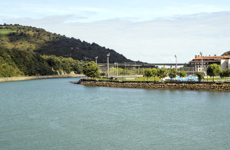 Orio imagen de archivo. Imagen de