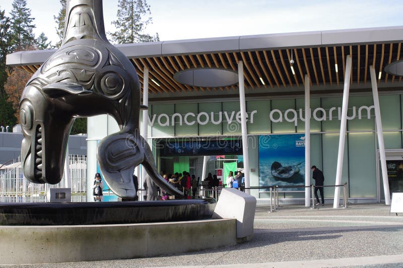 Orki statua przy Vancouver akwarium obraz royalty free Orki statua przy Vancouver akwarium obraz royalty free