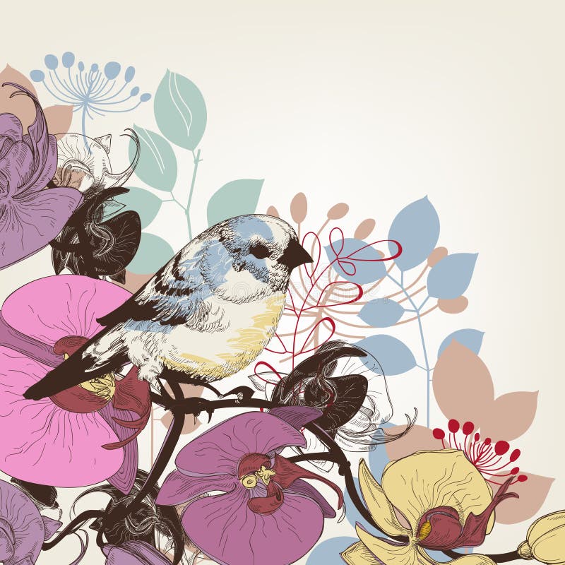 Orkidéblommor och gullig fågel vektor illustrationer Orkidéblommor och gullig fågel vektor illustrationer