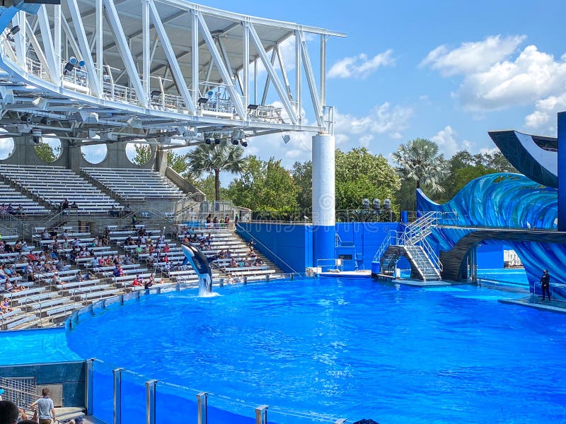 The Orca or Killer Whale Exhibit at Seaworld Editorial Stock Photo ...