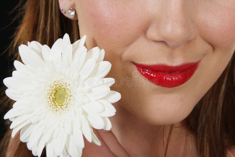 Orli rossi e fiore bianco fotografia stock libera da diritti Orli rossi e fiore bianco fotografia stock libera da diritti