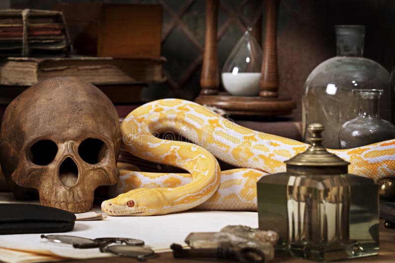 Orm för lavendeltigerAlbino arkivfoto Orm för lavendeltigerAlbino arkivfoto