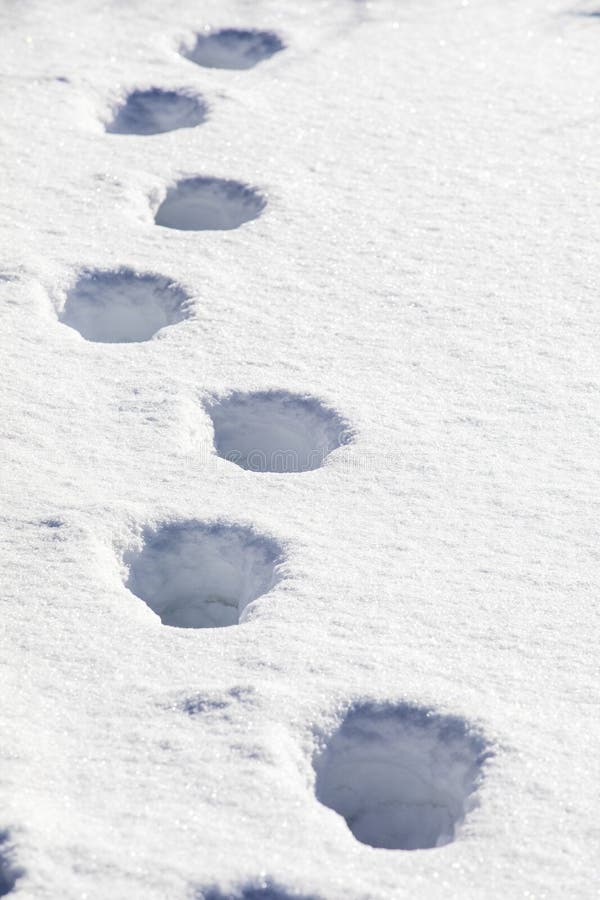Orme di neve ricoperte di ghiaccio contro la trama verticale del sole. Orme di neve ricoperte di ghiaccio contro il sole