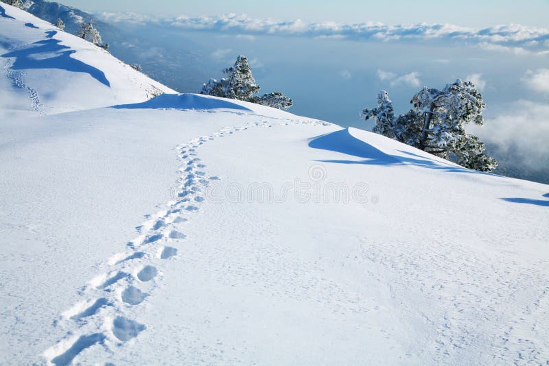 Orme nella neve fotografia stock libera da diritti