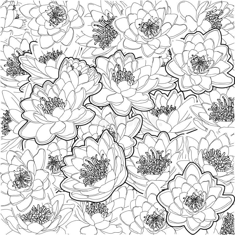 Ornament Water lilies stock illustration