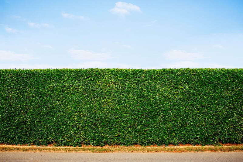 Ornamental Fence with Blue Sky. Stock Image Image of beauty, garden