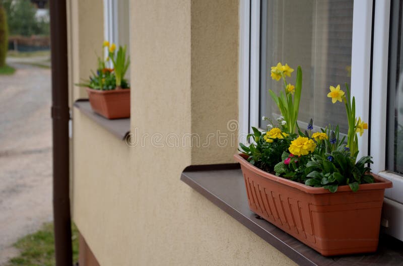 Ornamental Flower Pots on the Windows of the House. Plastic Flower Pots