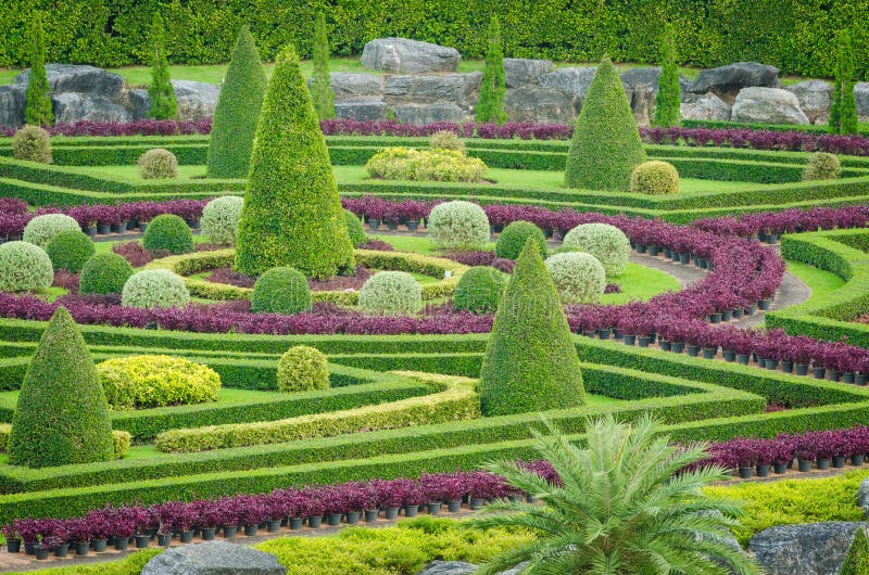 Decorativo bellissimo ornamentale impianti un albero tropicale natura giardino sul, tailandia.