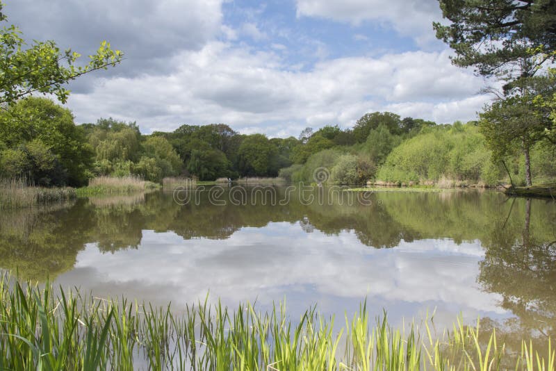 Download The Ornamental Pond, Southampton Common Stock Image - Image of common, pond: 115969583