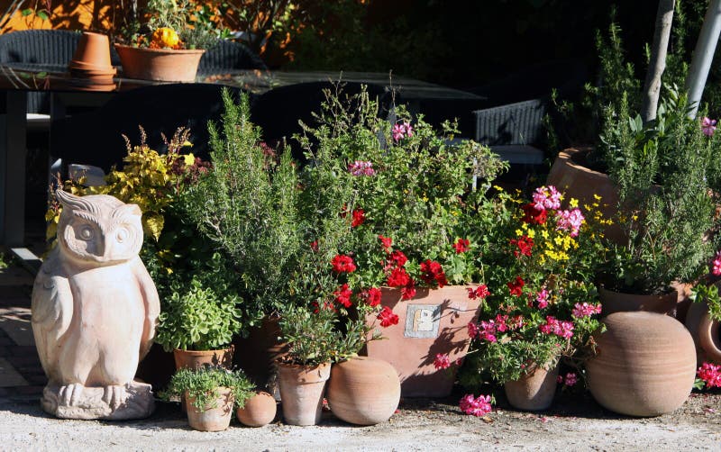 Potenziometeranlage Auf Terrasse Stockbild - Bild von zitrusfrucht