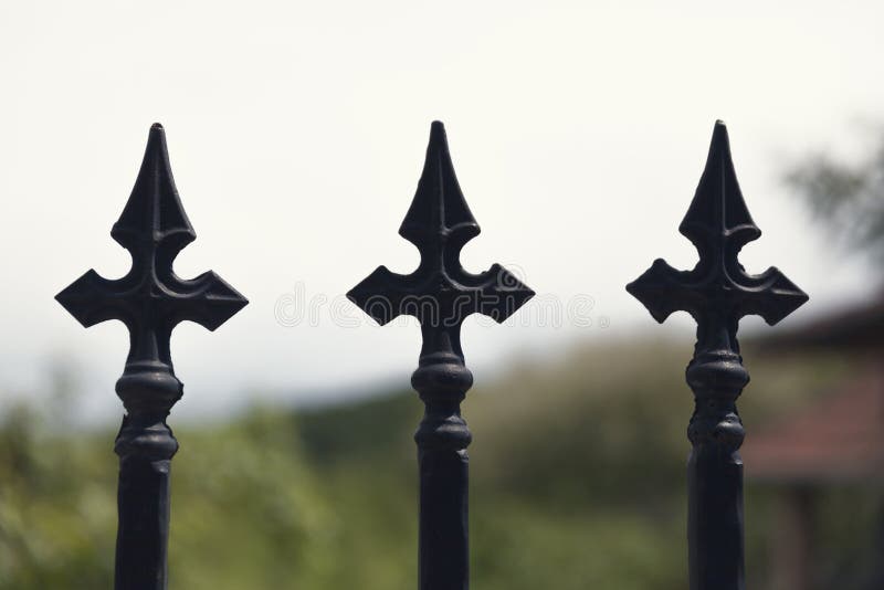 Ornamental wrought iron fence