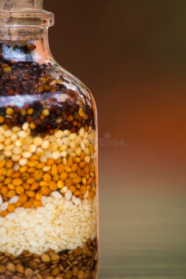 Ornamento in bottiglia dei semi