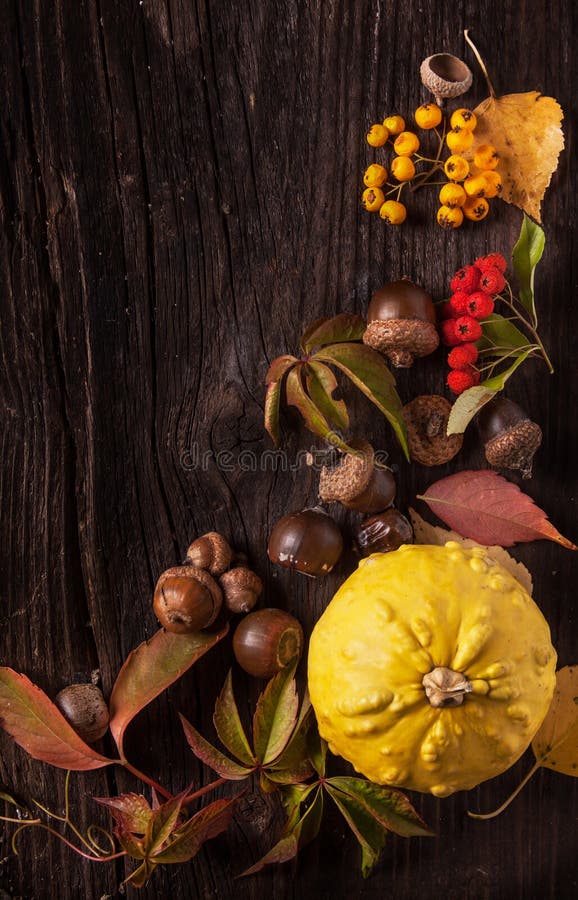 Ornamento con la zucca e le foglie di autunno