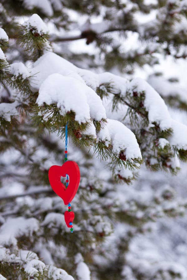 Ornamento nevoso di natale del pino del cuore rosso fotografia stock Ornamento nevoso di natale del pino del cuore rosso fotografia stock