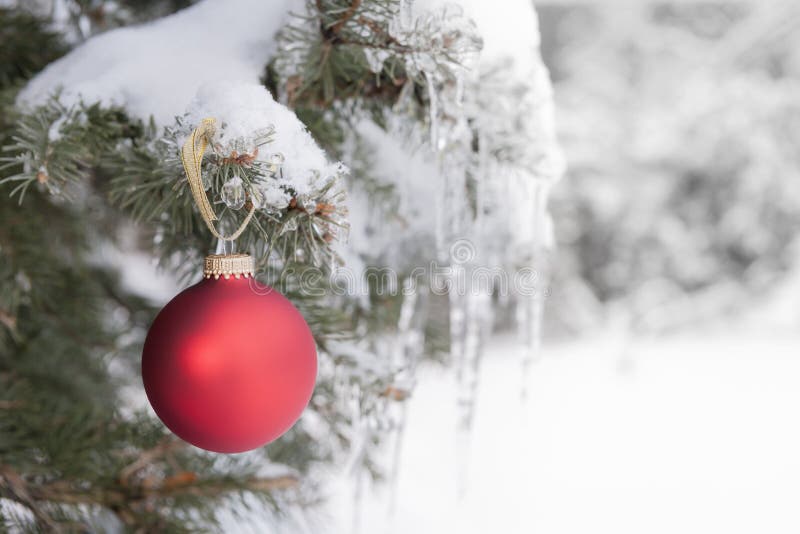 Ornamento rosso di Natale sull'albero nevoso