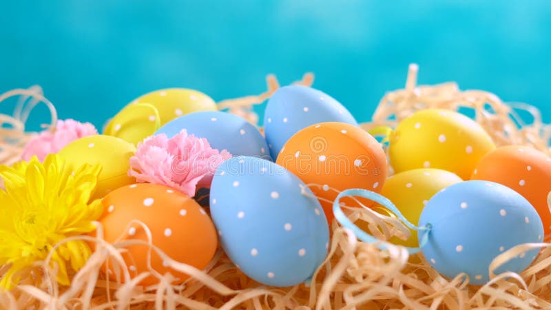 Ornamentos de Pascua, huevos y flores felices de la primavera