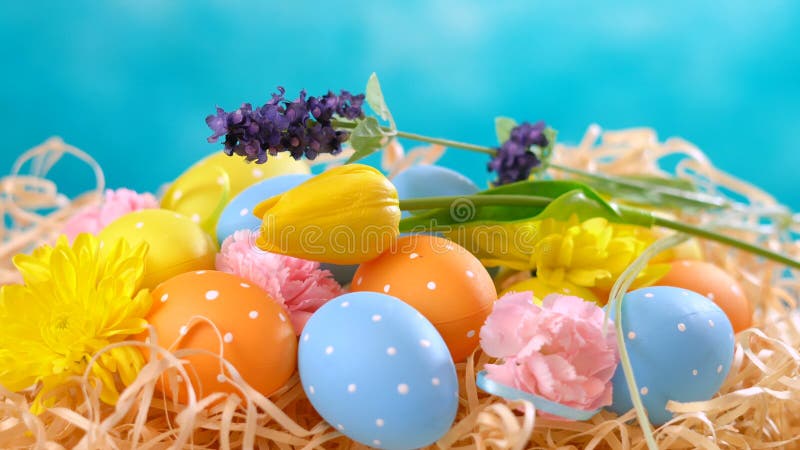 Ornamentos de Pascua, huevos y flores felices de la primavera