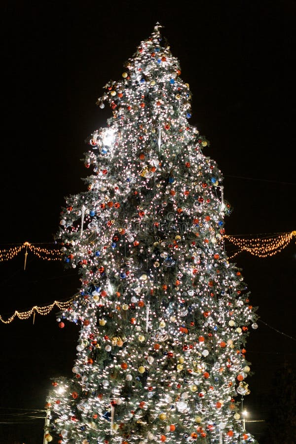 Lighted Christmas Tree Stock Images Download 1,877 Royalty Free Photos