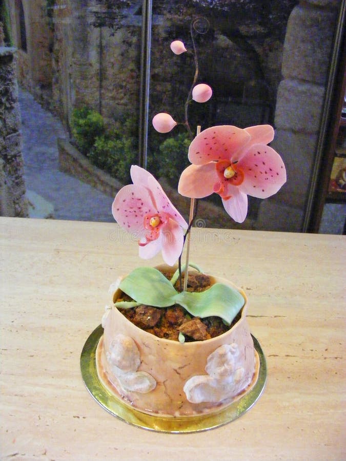 Orquídea Do Fundente Do Bolo Imagem de Stock - Imagem de primeiramente,  colorido: 89796053