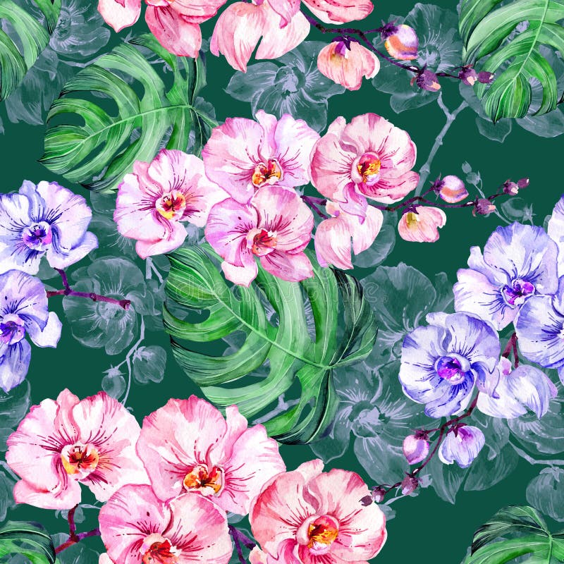 A orquídea azul e cor-de-rosa floresce e o monstera grande sae na obscuridade - fundo verde Teste padrão floral sem emenda Pintur ilustração stock A orquídea azul e cor-de-rosa floresce e o monstera grande sae na obscuridade - fundo verde Teste padrão floral sem emenda Pintur ilustração stock