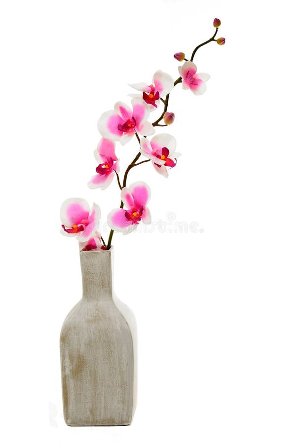 Orquídea cor-de-rosa no vaso fotos de stock Orquídea cor-de-rosa no vaso fotos de stock